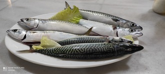 Norveç Uskumru Izgara 400Gr görseli