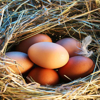 Aneban  Organik Yumurta (10 Adet) görseli