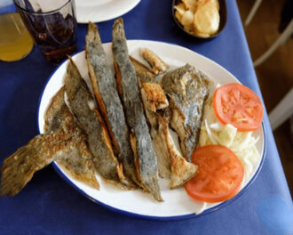 Kalkan - Turbot (Psetta Maxima Linnaeus) görseli