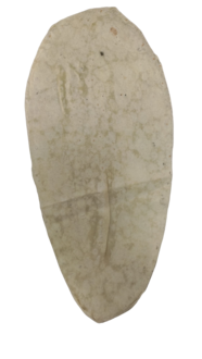 Lavaş (Adet) görseli