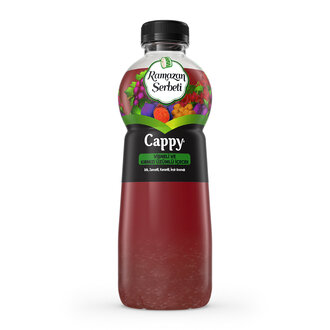 Cappy Ramazan Şerbeti Meyve Suyu görseli
