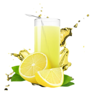 Ev Yapımı Limonata (330 Ml) görseli