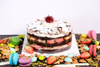 Mois Pasta (12 Kişilik) görseli