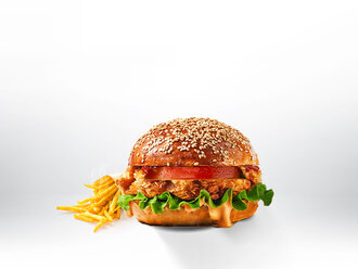 Çıtır Burger görseli