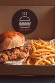 Jr. Çıtır Tavuk Burger görseli