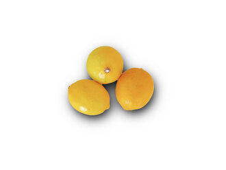 Limon (1 Adet) görseli