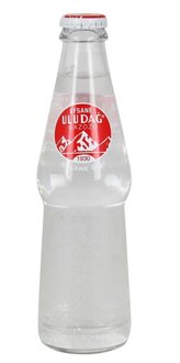 Uludağ Gazoz (25 Cl.) görseli