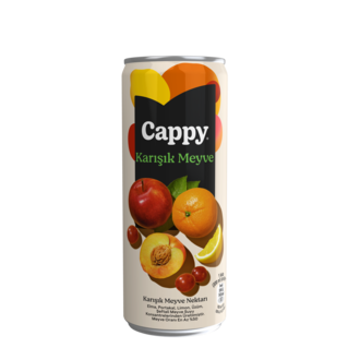 Cappy Karışık (33 Cl.) görseli