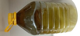 Zeytinyağı görseli