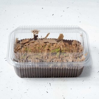 Dökme Profiterol (500 Gr.) görseli