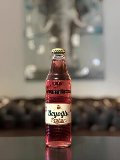 Beyoğlu Reyhan Gazoz (25 Cl.) görseli