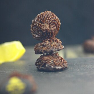 Florentine Kurabiye(kayısı Ve Portakallı)(glutensiz) görseli