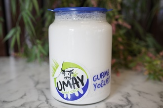 Manda Yoğurdu (Büyük) (800 Gr.) görseli