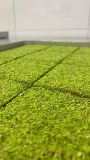 Fıstıklı Soğuk Kadayıf (1 Kg.) görseli