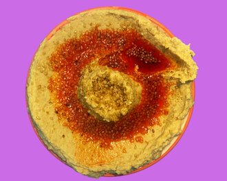 Humus görseli