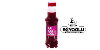 Acılı Şalgam Suyu (33 Cl.) görseli