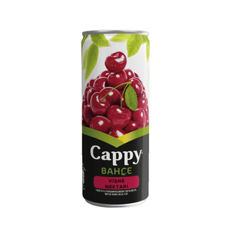 Cappy Vişne (330 Ml.) görseli