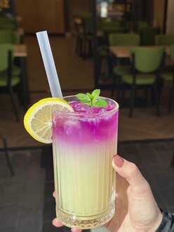 Ev Yapımı Limonata görseli