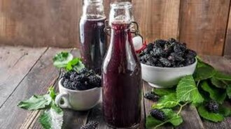 Karadut Suyu (1 L) görseli