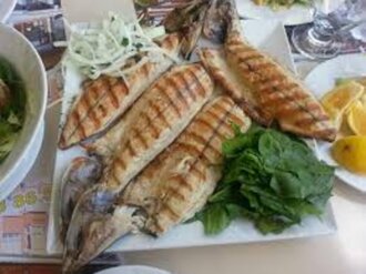 Servis Palamut görseli