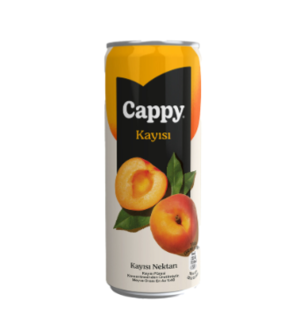 Cappy Kayısı (33 Cl.) görseli