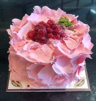 Frambuazlı Pasta (6-7 Kişilik) görseli