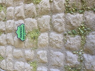 Cevizli Soğuk Baklava (1 Kg.) görseli