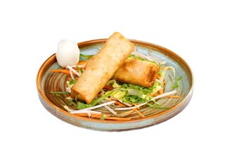 Çin Böreği (2 Adet) görseli