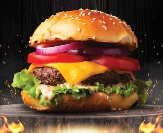 Double Burger görseli