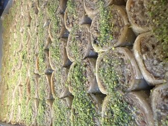 Cevizli Padişah (250 G) görseli