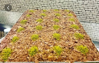 Cevizli Soğuk Baklava (500 G) görseli