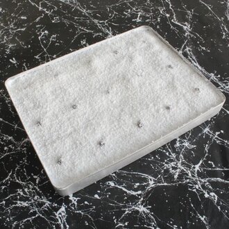 Hindistan Cevizli Trileçe (Tepsi) (2450-2600 Gr.) görseli