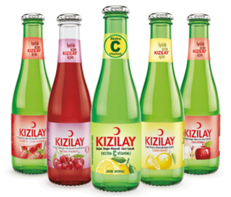 Meyveli Soda (20 Cl.) görseli