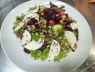 Suda Mozzarella Salata görseli