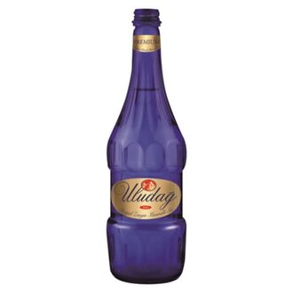 Uludağ Premium Soda (20 Cl.) görseli