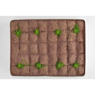 Fıstıklı Soğuk Baklava (1 Kg) görseli