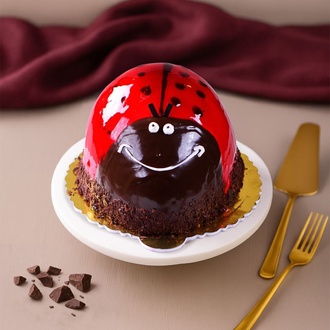 Uğur Böceği Pasta (No.2) görseli