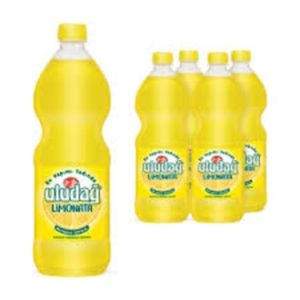 Uludağ Limonata(330ml) görseli