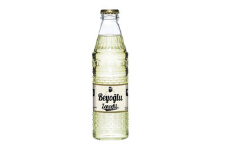 14. Beyoğlu Zencefilli Gazoz (250 Ml) görseli