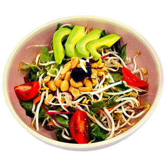 Asya Salata görseli