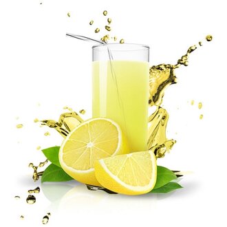 Gezen Limonata (Ev Yapımı) 330 Ml görseli