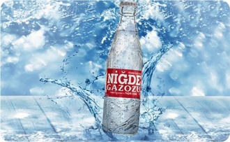 Niğde Gazuzu 250 Ml görseli