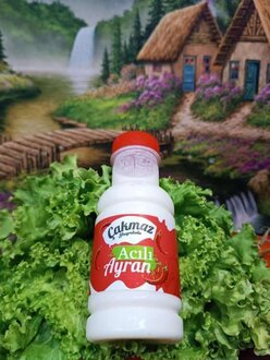 Acılı Ayran (275 Cl.) görseli