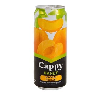 Cappy Kayısı (33 Cl.) görseli