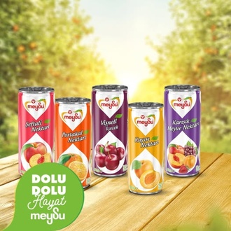Meysu Meyve Suyu (33 Cl.) görseli