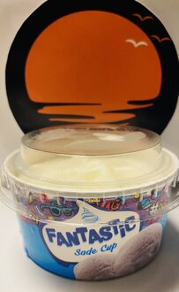 Alpedo Dondurma Sade Kutu (90 Gr.) görseli