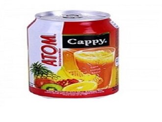 Capy Karışık Meyve Suyu Kutu 330 Ml. görseli
