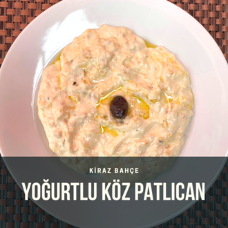 Yoğurtlu Köz Patlıcan görseli