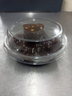 Ev Yapımı Profiterol görseli