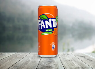 Fanta 330 Ml görseli